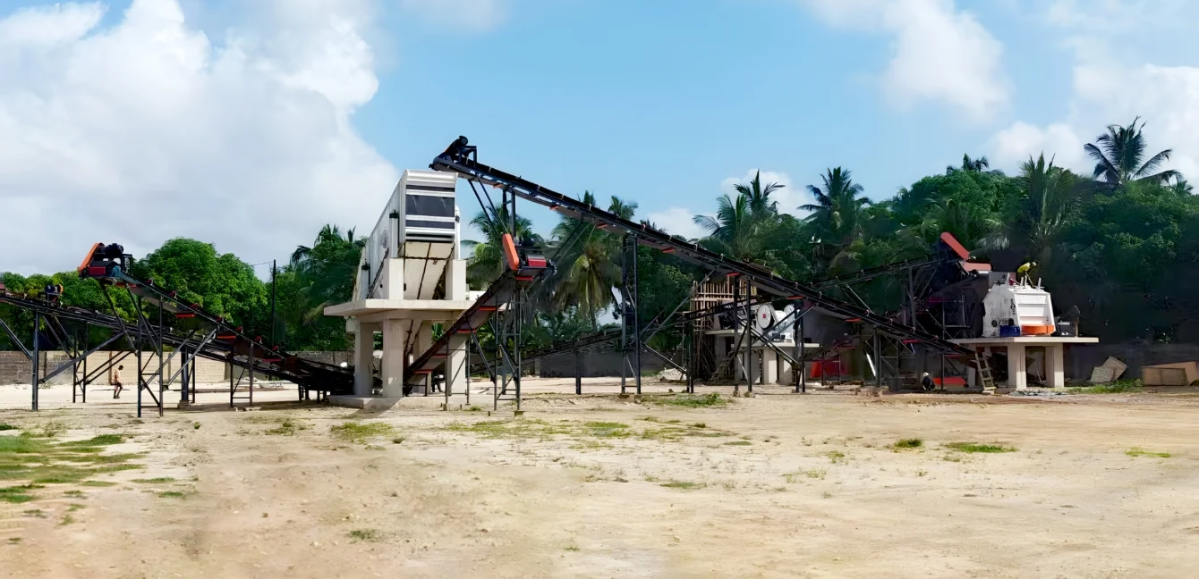 100t stone crushing plant tanzania
